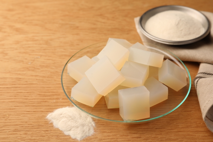 Image of agar cubes